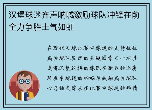 汉堡球迷齐声呐喊激励球队冲锋在前全力争胜士气如虹